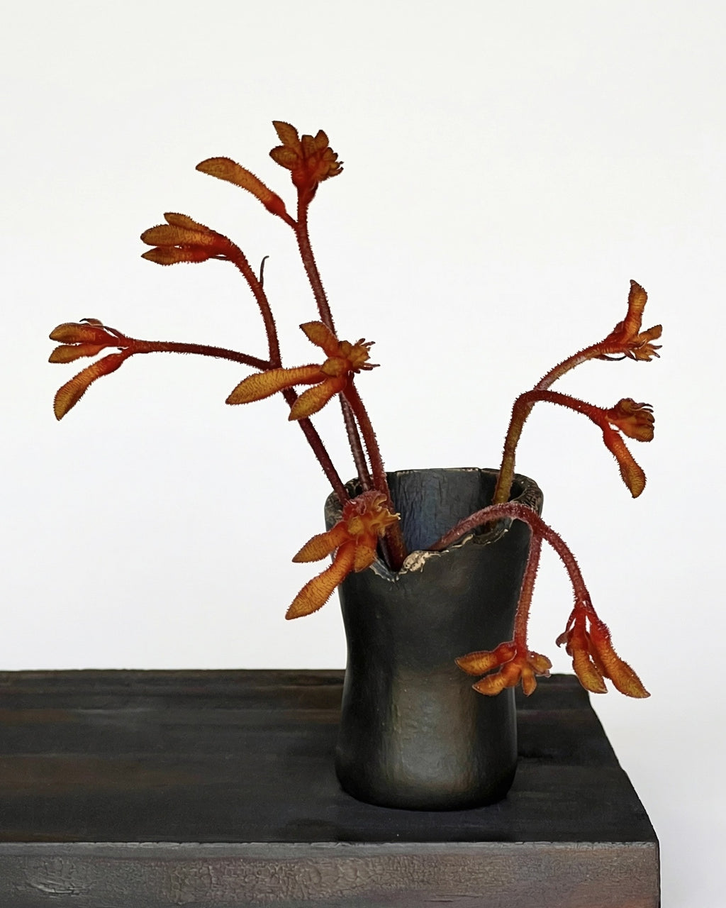 Mini Posy Vase | Black Matte Glaze